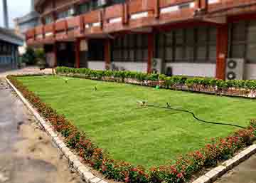 校園綠化環境